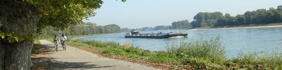Radtour entlang des Rheins